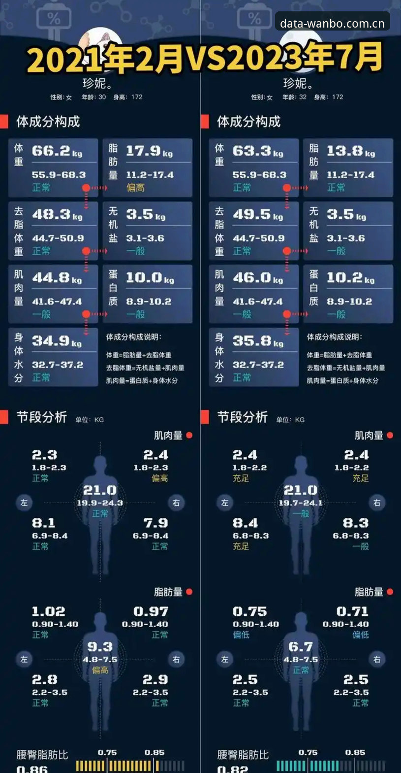 揭秘万搏体育版本评测：数据平台背后的真相与深度解析